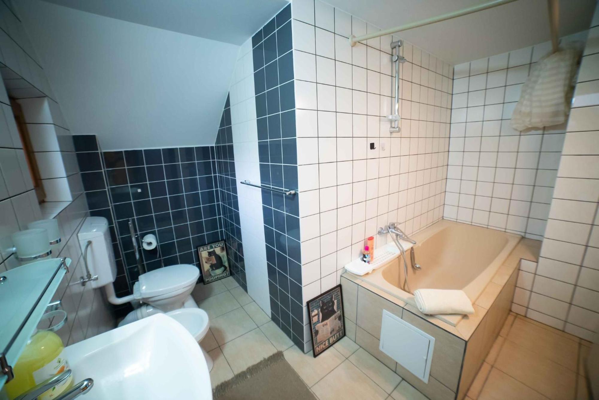 Full-House Si Gradina In Bucovina, Lisaura Villa Ngoại thất bức ảnh